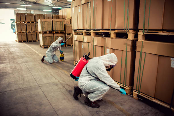 Best Rat Extermination Near Me  in Cape Girardeau, MO