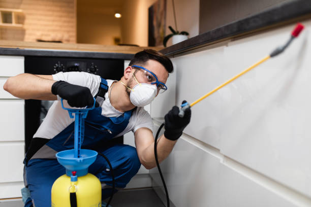Best Exterminator Services  in Cape Girardeau, MO