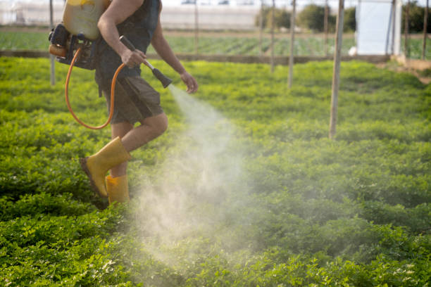 Best Commercial Pest Control Services  in Cape Girardeau, MO