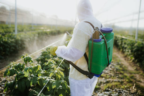 Best Pest Prevention Services  in Cape Girardeau, MO